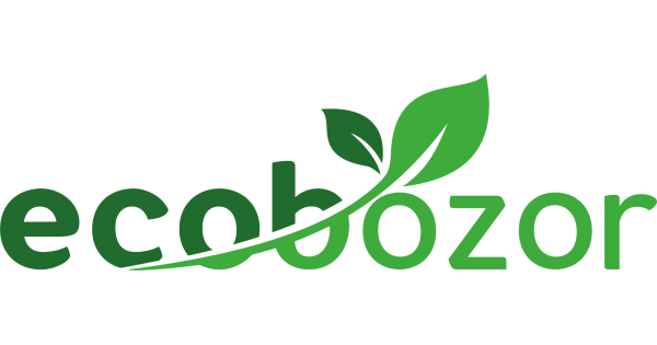 Эко. Eco daily. Изображение эко. Эко логотип. Eco daily.